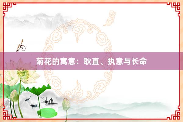 菊花的寓意：耿直、执意与长命